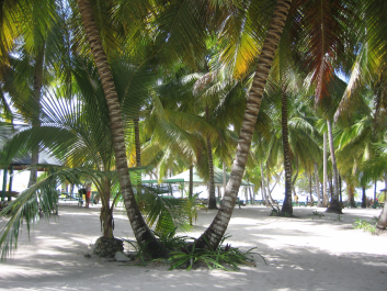 photo 1469747