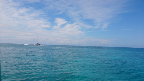 photo 1469749