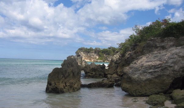 ���� ����� (13)