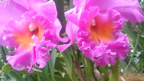photo 1470476