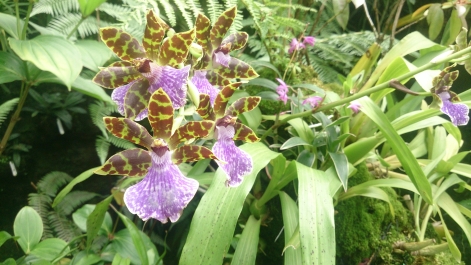 photo 1470478