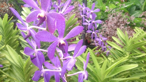 photo 1470479