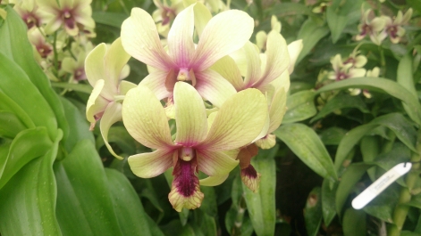 photo 1470481