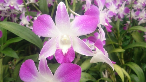 photo 1470482