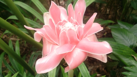 photo 1470484