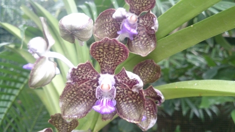 photo 1470488
