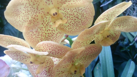 photo 1470490