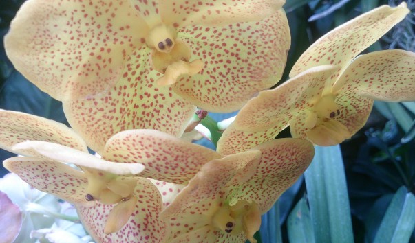 ��� ������� (22)