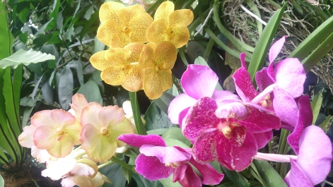 photo 1470491