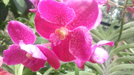 photo 1470493