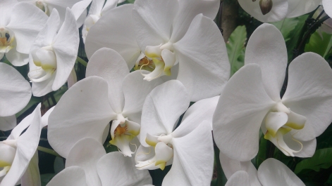 photo 1470496