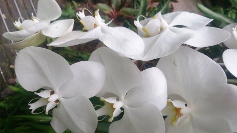 photo 1470501
