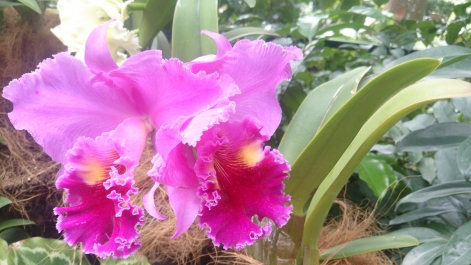 photo 1470502