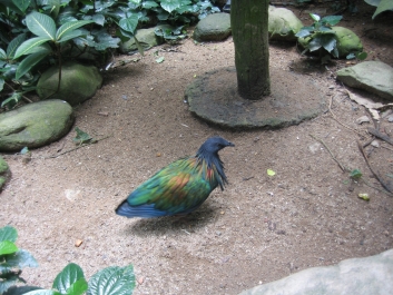photo 1470554