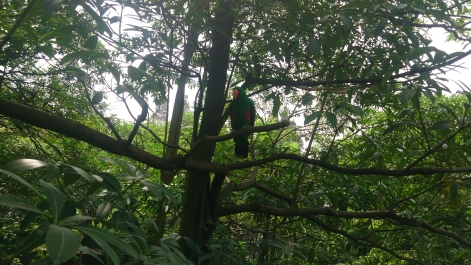 photo 1470559