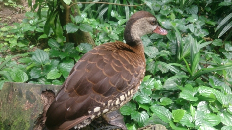 photo 1470562