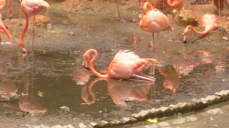 photo 1470567