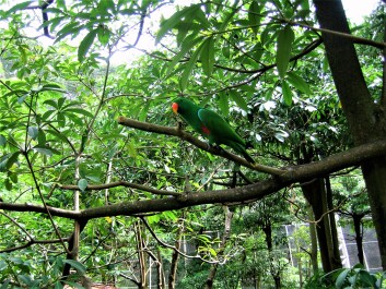 photo 1498972