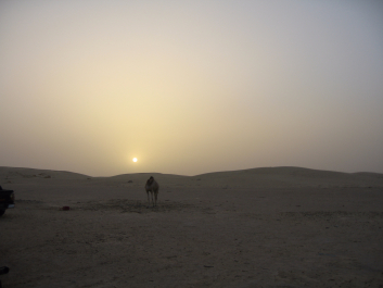 photo 1470845