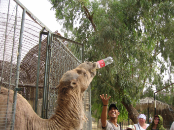photo 1470879