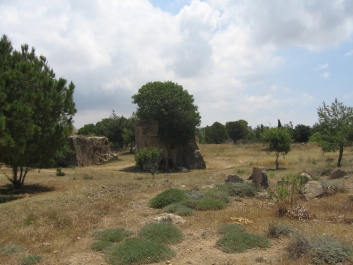 photo 1471153