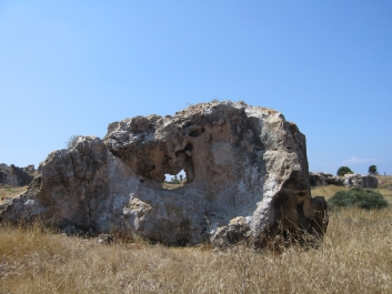 photo 1471156