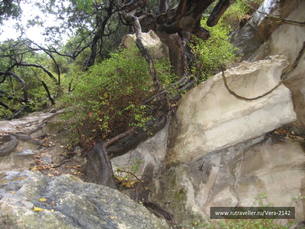 photo 1471164