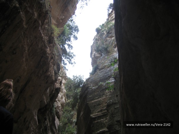photo 1471166
