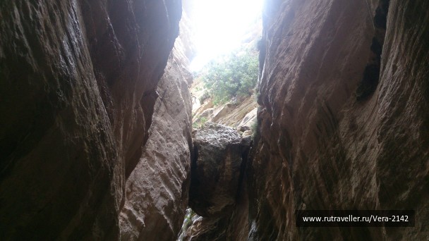 photo 1471167