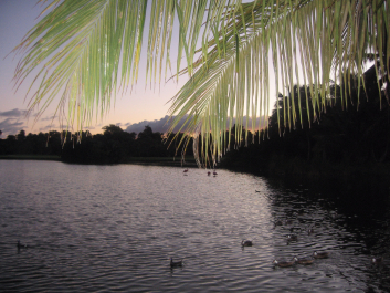 photo 1475209