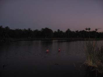 photo 1475210