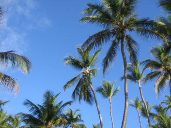 photo 1475216