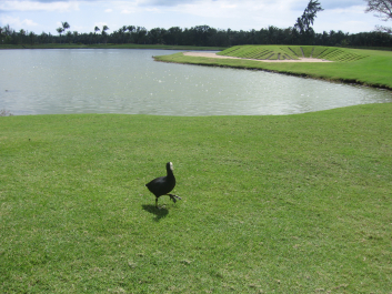 photo 1475223