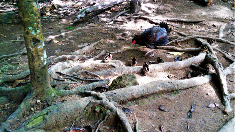 photo 1497901