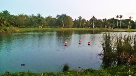 photo 1499687