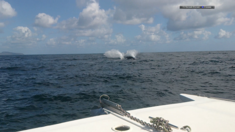 photo 1478125