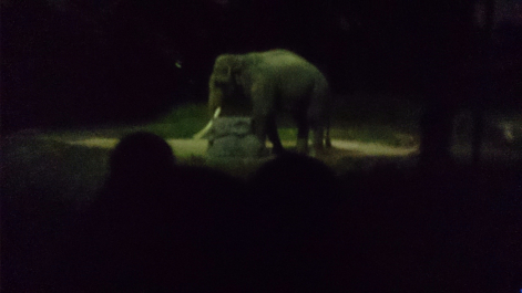 photo 1479018