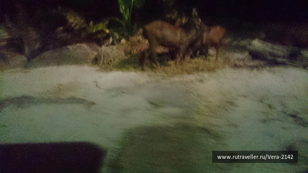 photo 1479021