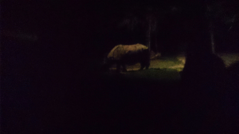 photo 1479022