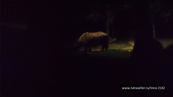 photo 1479022