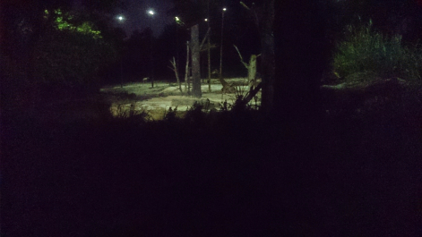 photo 1479024