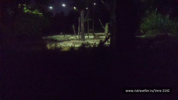 photo 1479024