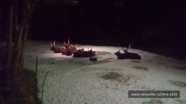 photo 1479025