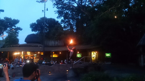 photo 1479026