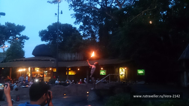 photo 1479026