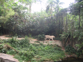 photo 1482288