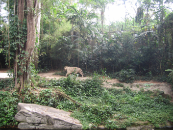 photo 1482289