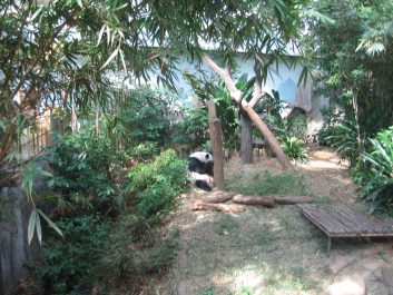 photo 1482294