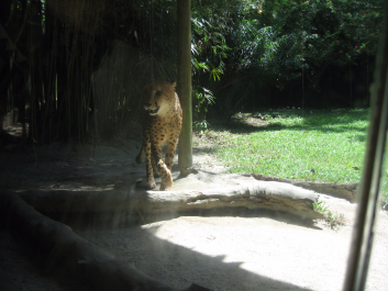 photo 1482301