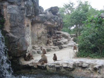 photo 1482302